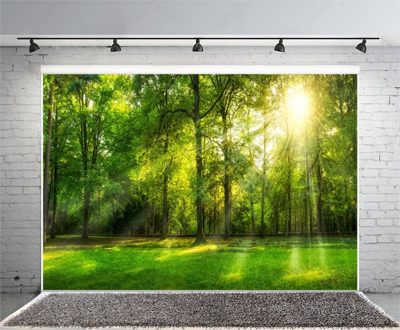 Leowefowa 10x8ft Green Forest Backdrop 10x8ft Summer Tree Sunshine Rays Photography Background Green Grassland Nature Scenery Outdoor Photo Banner for Wedding Portrait Baby Shower Outdoor Party Decor - Image 4